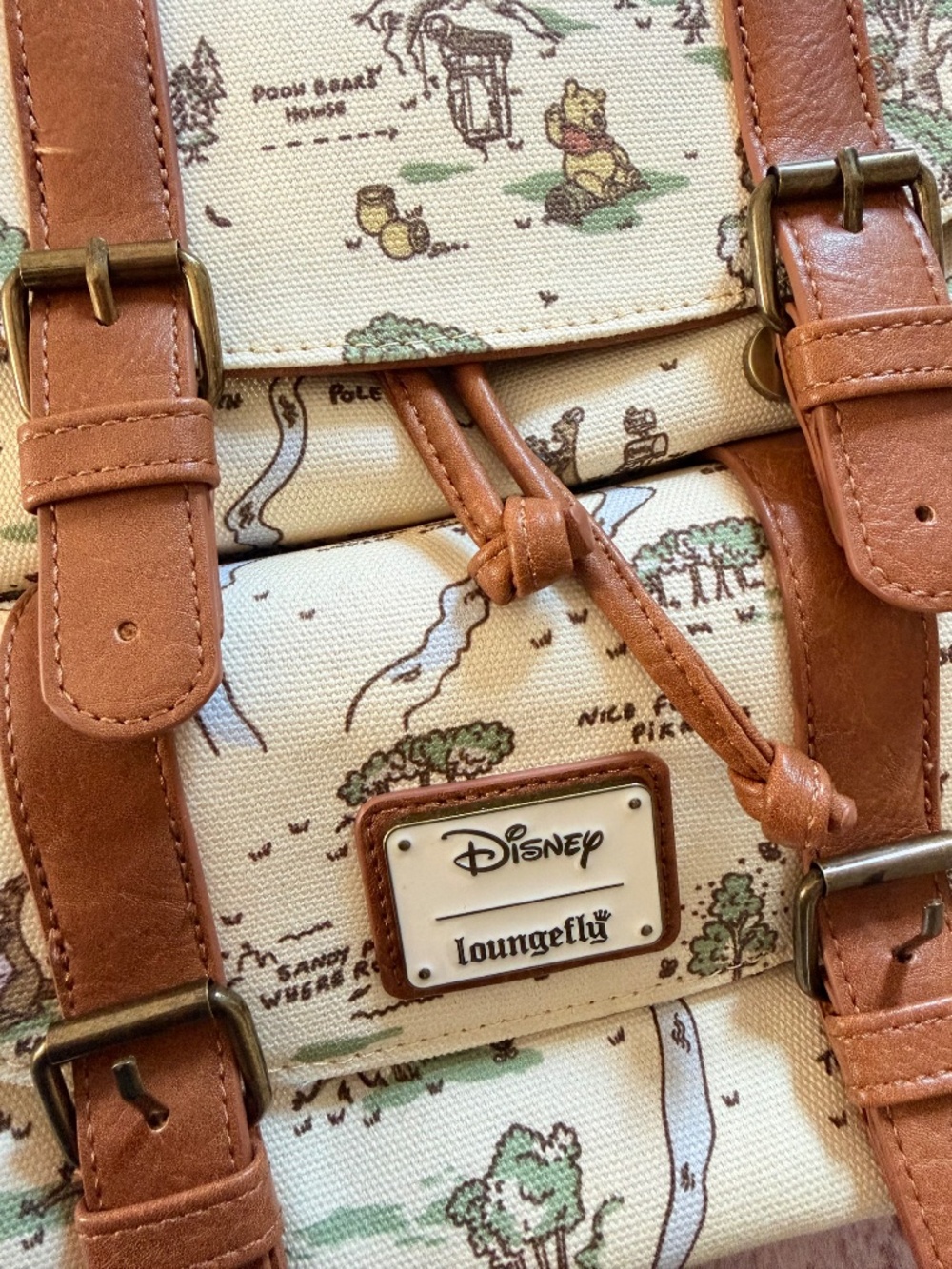 Loungefly Winnie the Pooh backpack - Picture 4 of 6